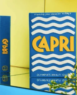 Strapped|Book Clutch<Olympia Le-Tan Capri (Strapped)