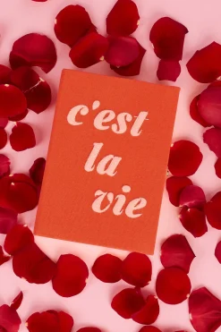 Non-Strapped|Book Clutch<Olympia Le-Tan C'est la Vie