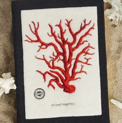 Strapped|Book Clutch<Olympia Le-Tan Le Corail Rouge (Strapped)