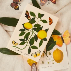 Strapped|Book Clutch<Olympia Le-Tan Lemons and Butterflies (Strapped)